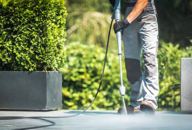 Best Solar Panel Cleaning  in Mino, CA